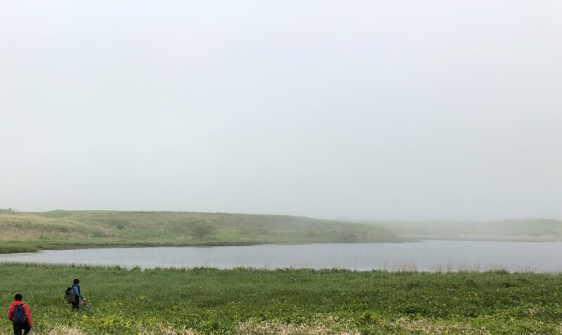 種分化の「付かず離れず」の謎に迫る ──同所生息地におけるゲノム分化と遺伝子浸透パターン